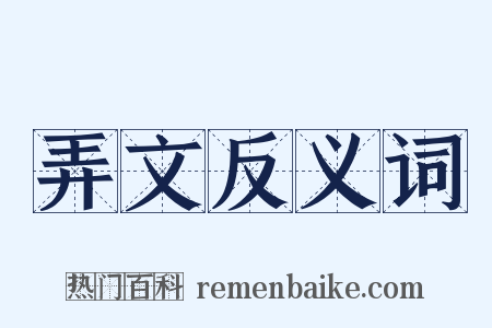 弄文反义词是什么意思的图片